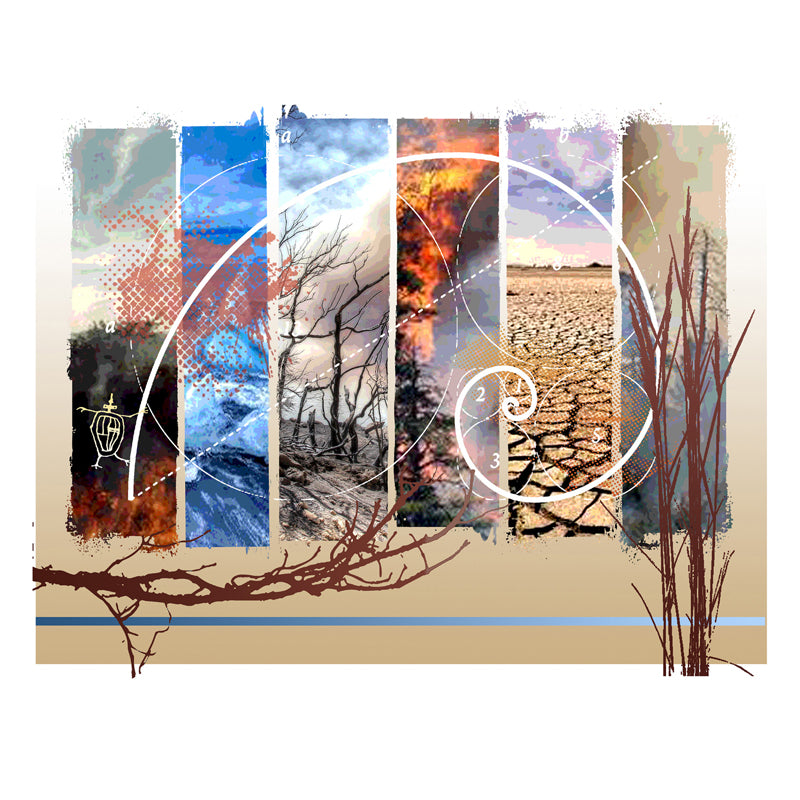 Nature's Stark Beauty 8