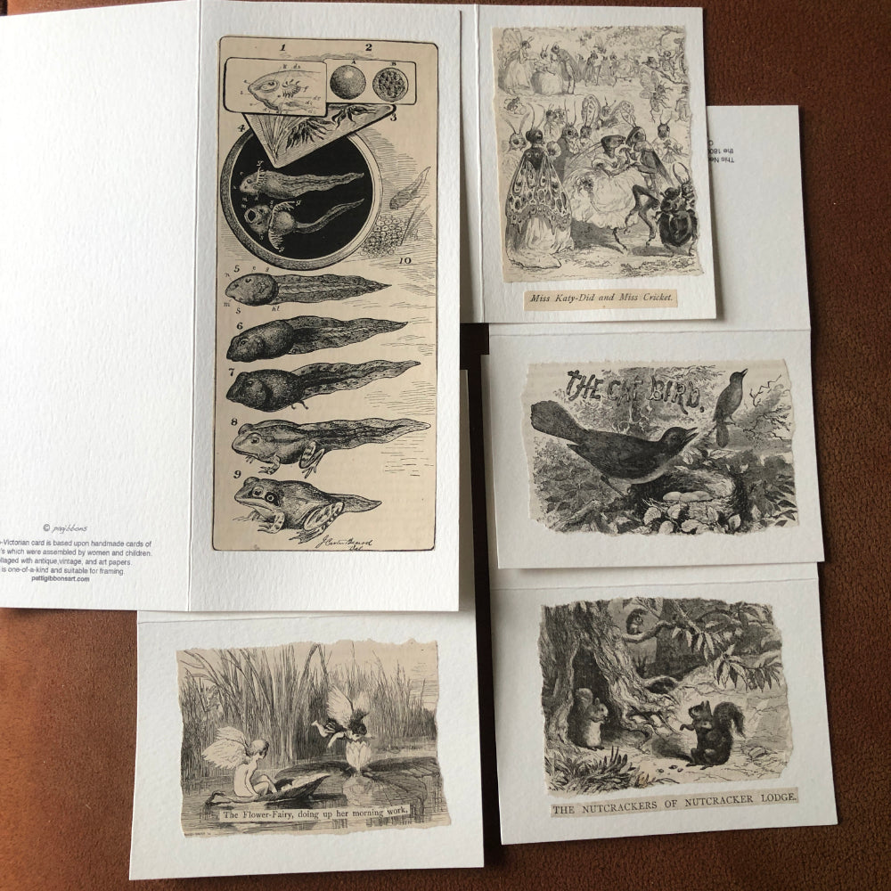 5 Blank Greeting/Note Cards: Fantasy and Nature