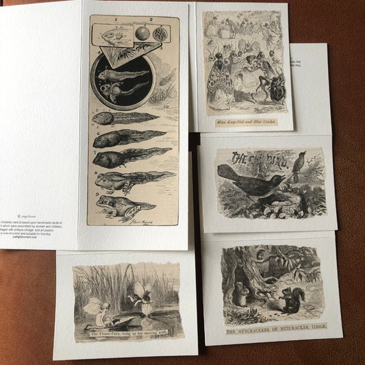 5 Blank Greeting/Note Cards: Fantasy and Nature