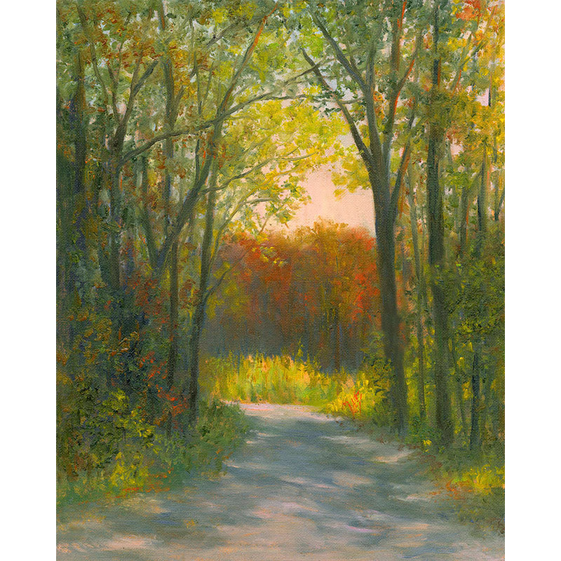 Dappled Light on a Country Road