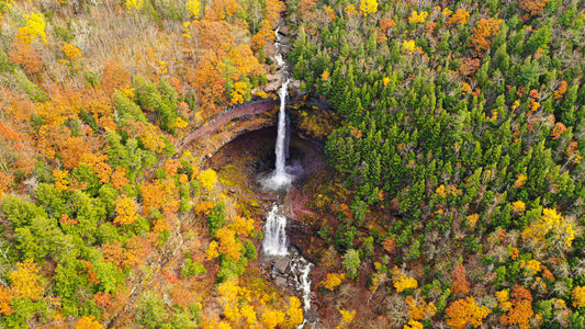 Bird's Eye View (Kaaterskill Falls)