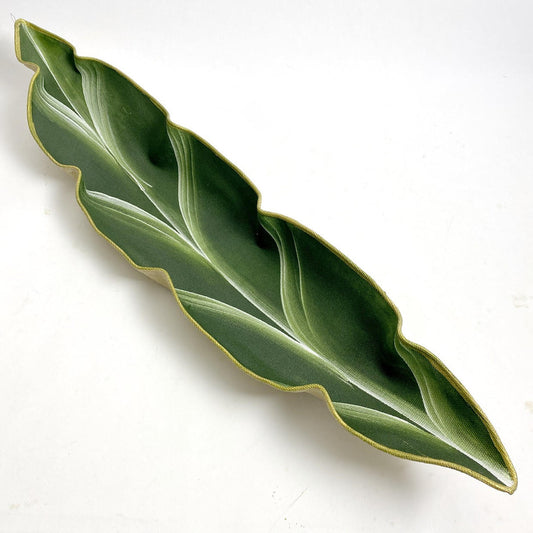 SculpTables Peapod Basket Pine/Frost