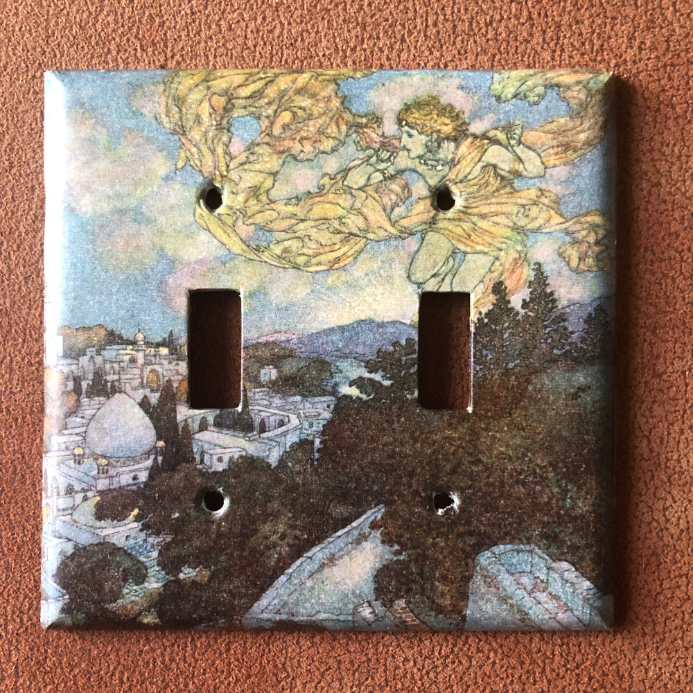 Switch Plate Cover DOUBLE Fantasy Dual