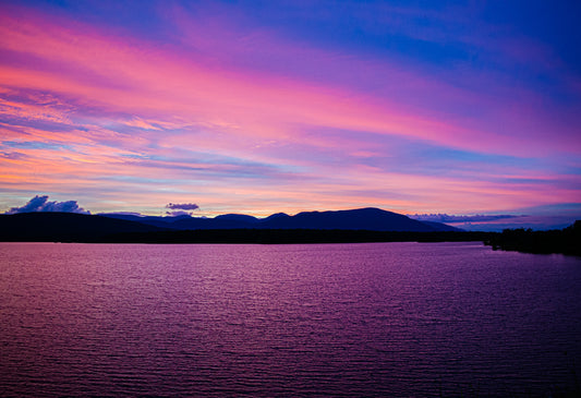Purple Haze (Ashokan Reservoir)