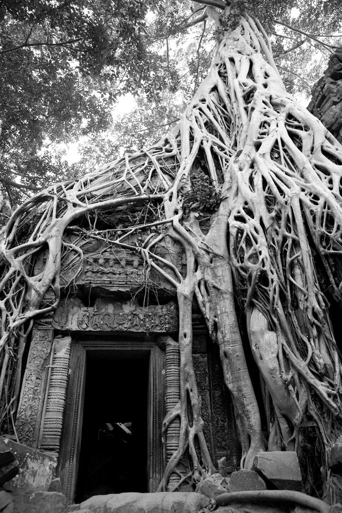 Ta Prohm Ruins