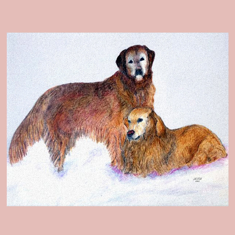 Goldens in the Snow