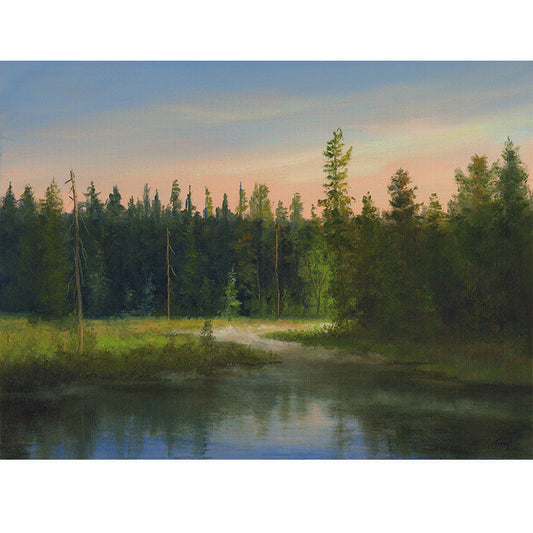 My Favorite Marsh - ADKS