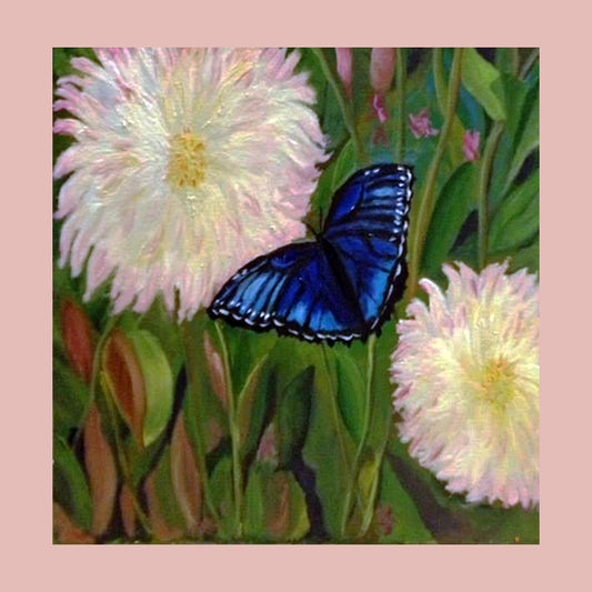 Butterfly and Friends