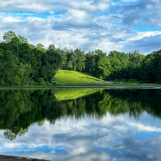 Esopus Creek Saugerties