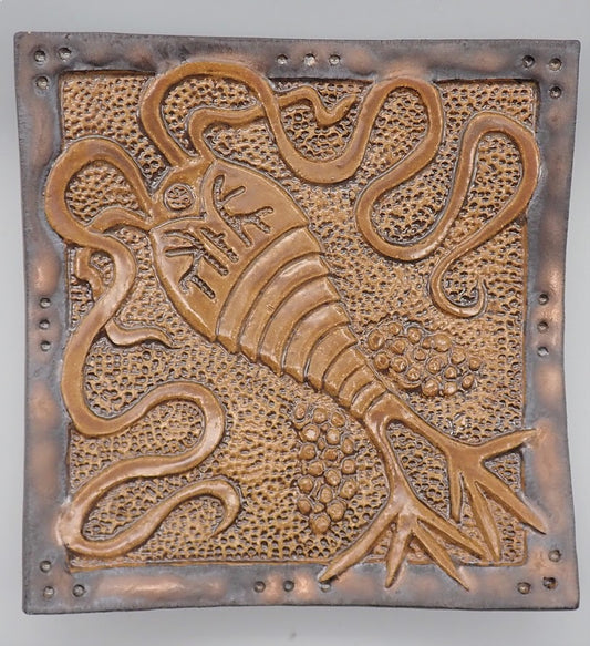 Hudson River Cocoapoda Plankton