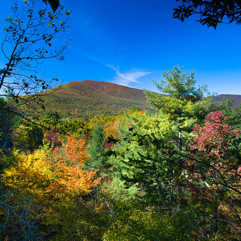 Fall Foliage on Ashokan High Point