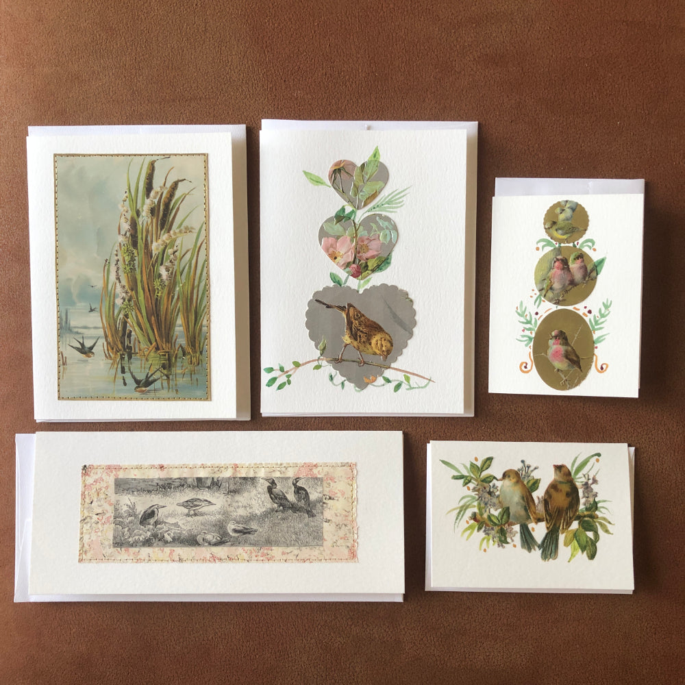 Greeting Cards: 5 Assorted Sized Bird Themed All Occasion