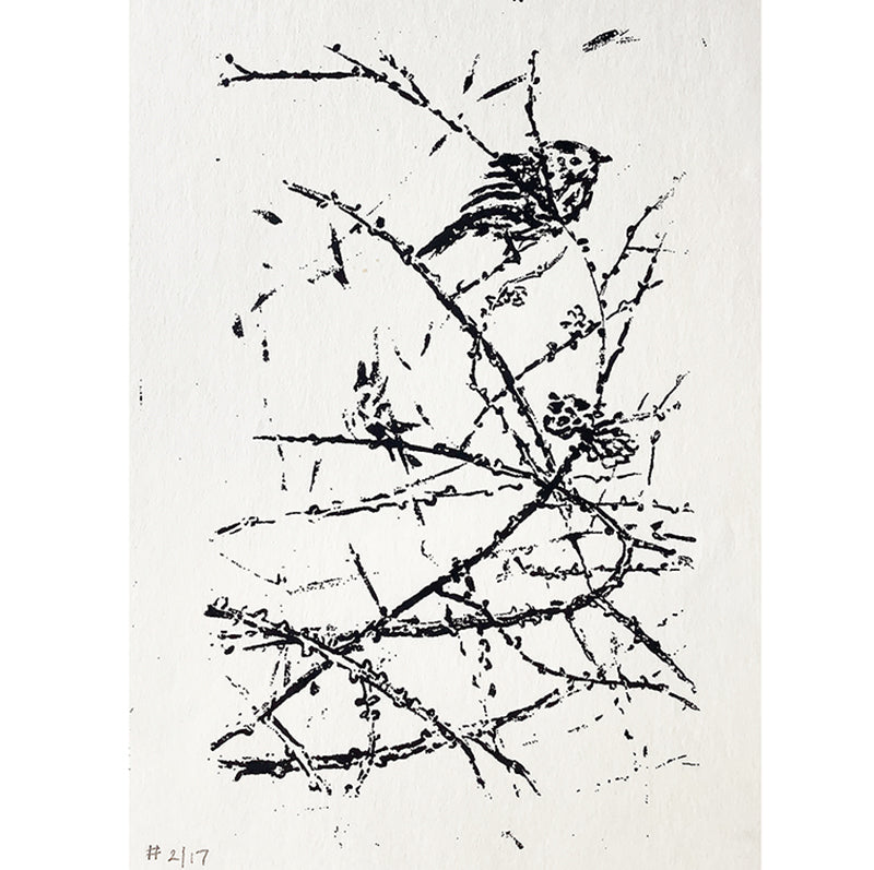 Chickadees in Winter