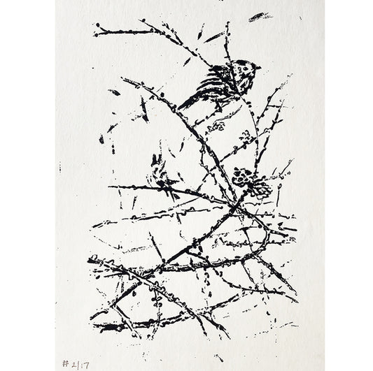 Chickadees in Winter