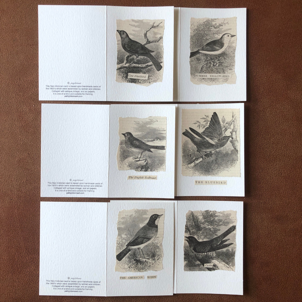 Greeting Cards: 6 Small Notecards featuring BIRDS