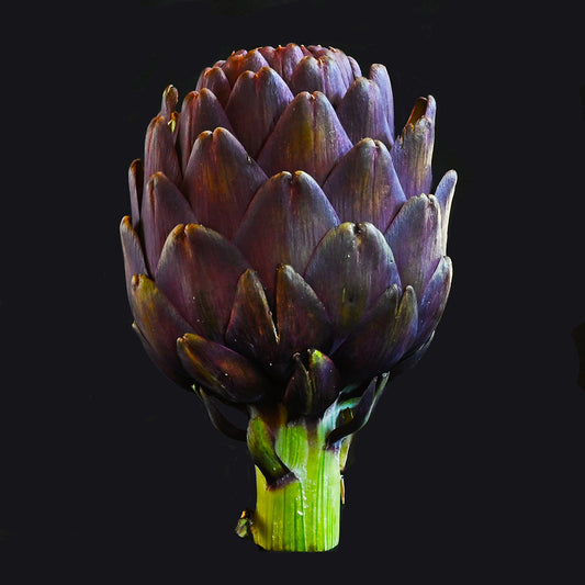 Artichoke