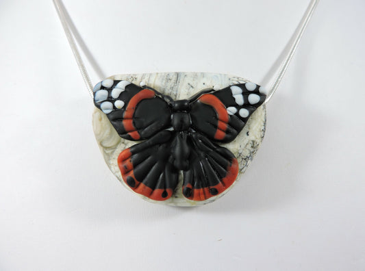 Red Admiral Butterfly Portrait