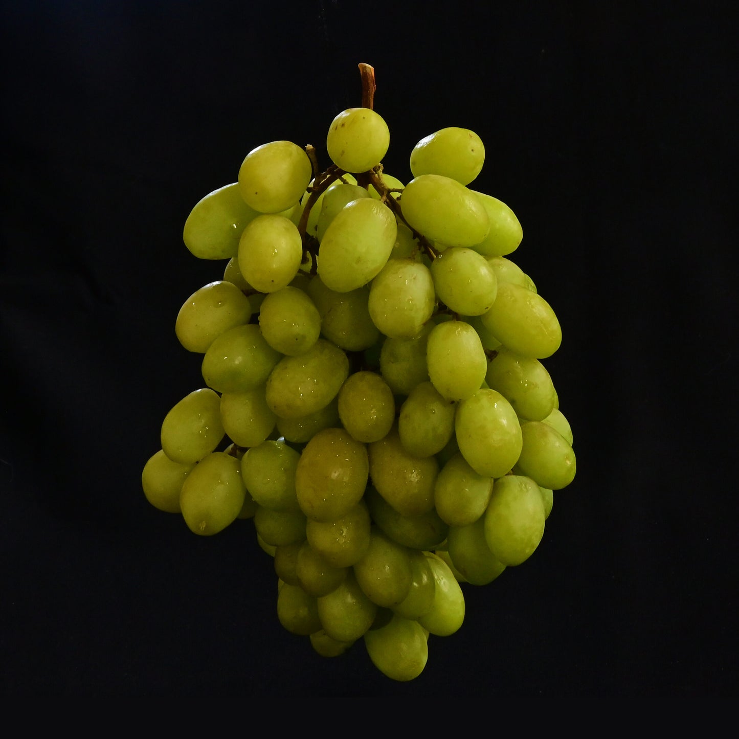 Green Grapes