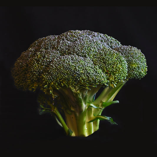 Broccoli