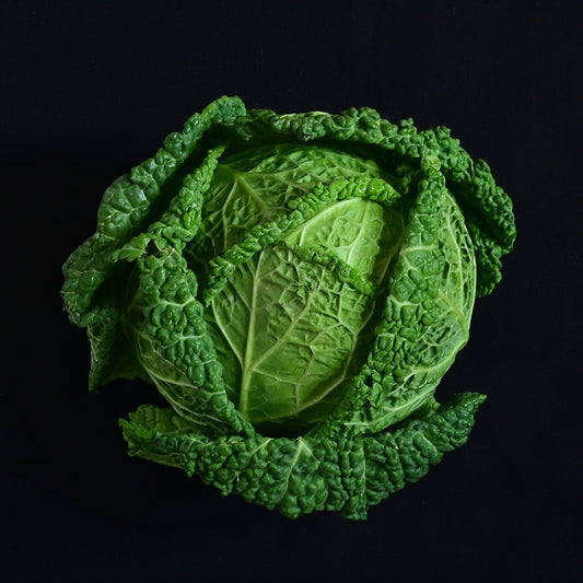Cabbage