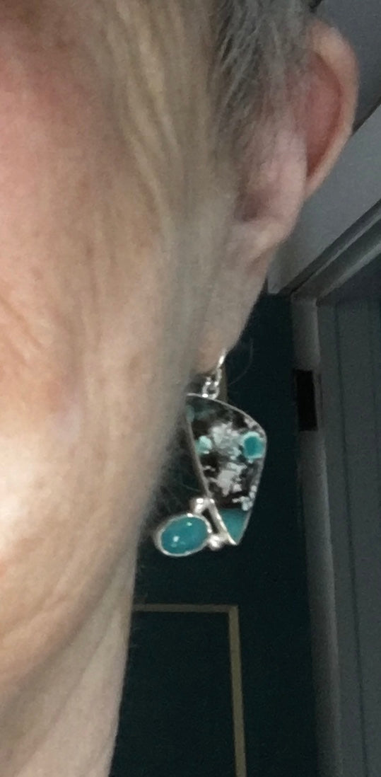 Opalized Petrified Wood Earrings