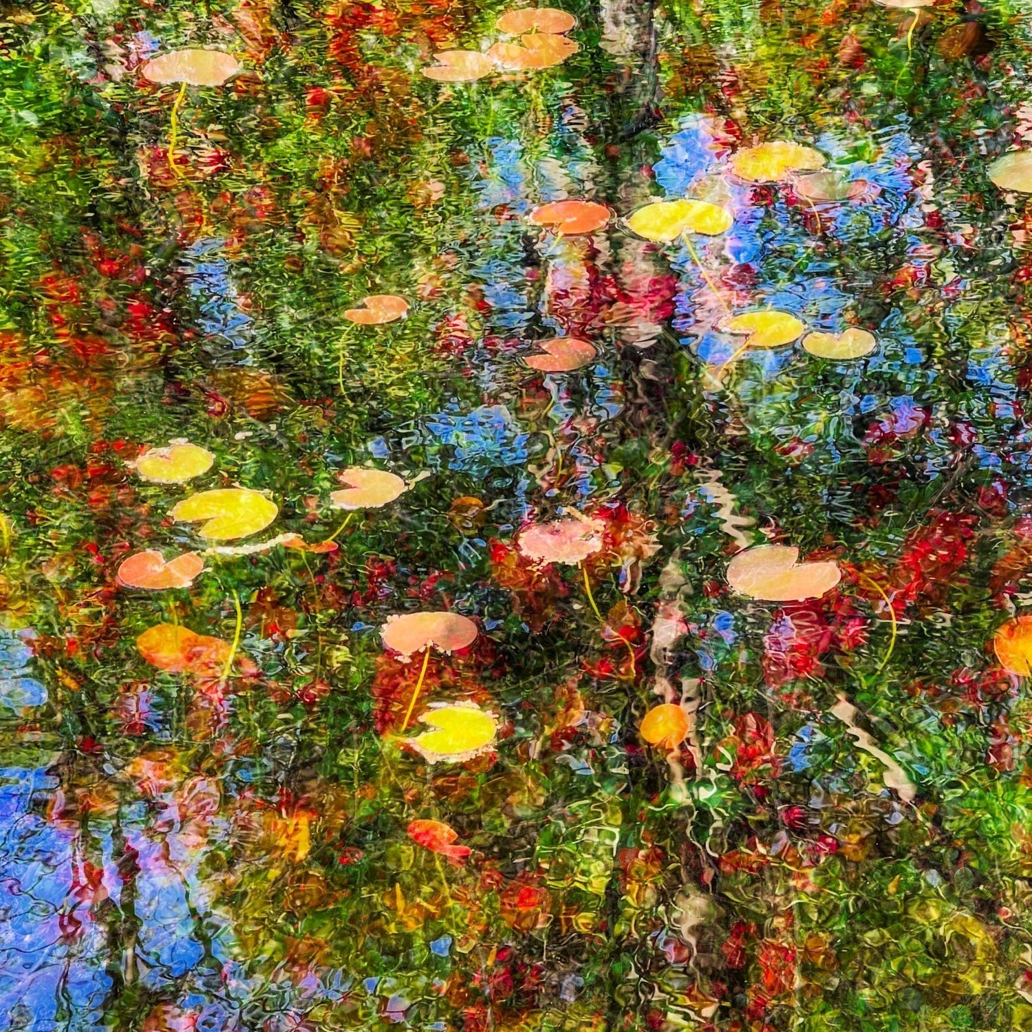 Maureen Lohan-Bremer