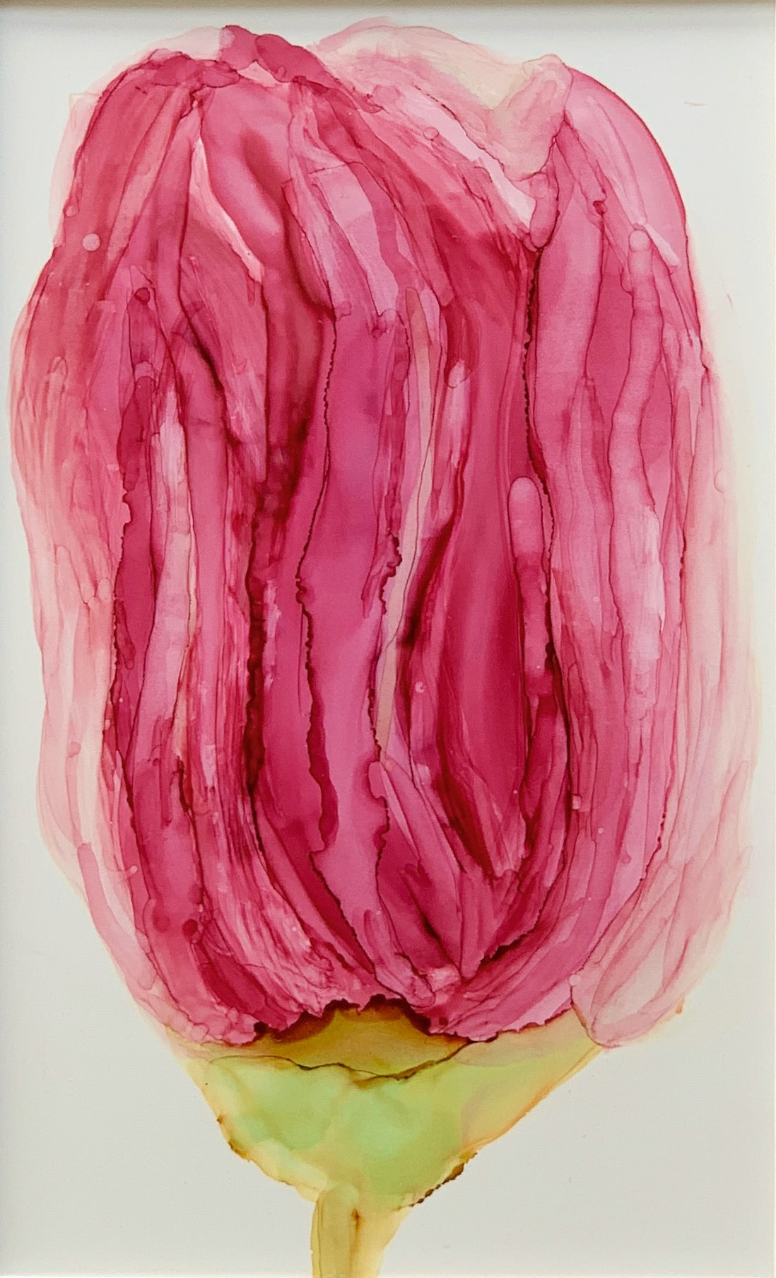 Tulip #1