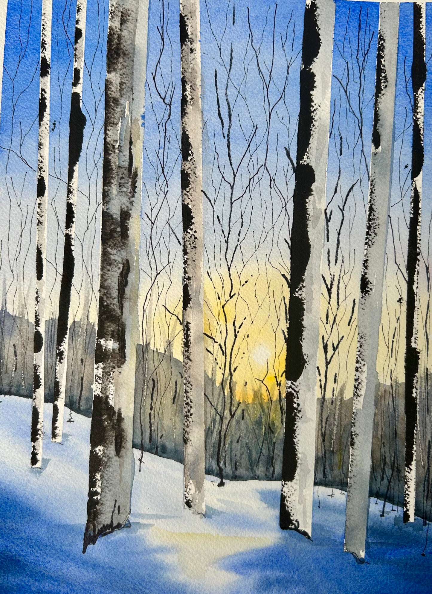 Birch Morning
