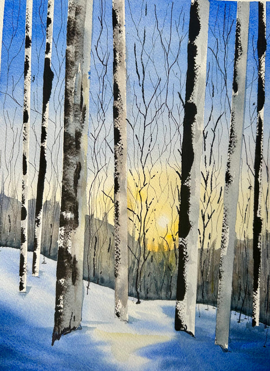 Birch Morning