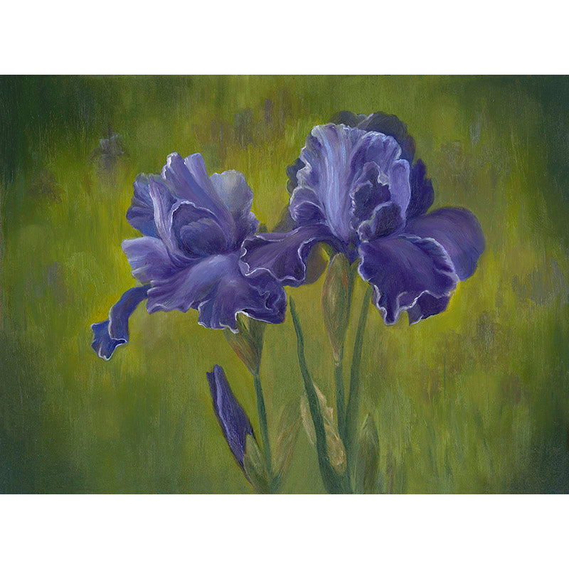Purple Irises