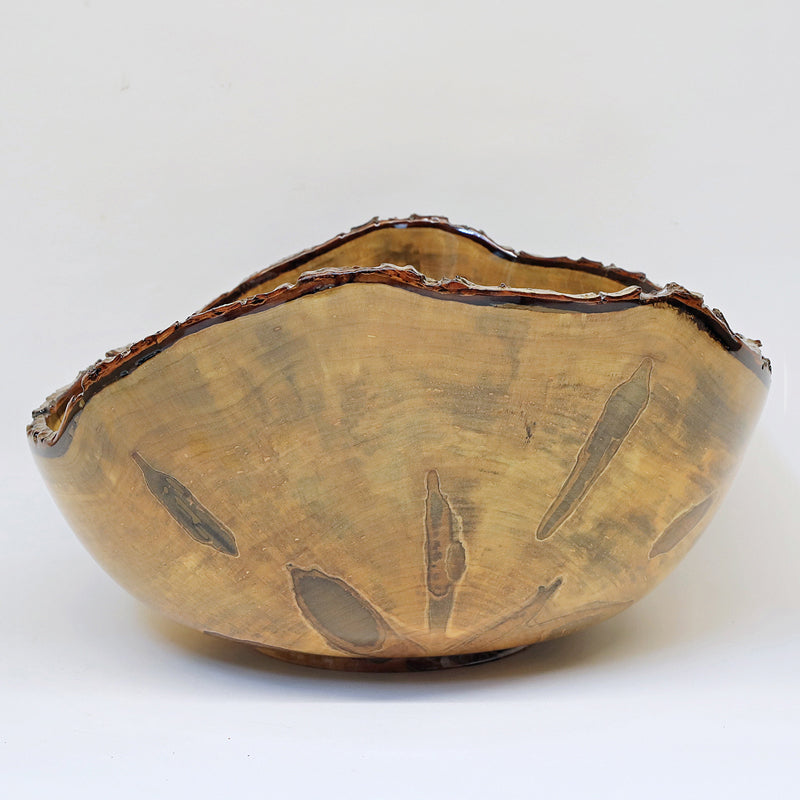 Large Ambrosia Maple Bark Edge Bowl