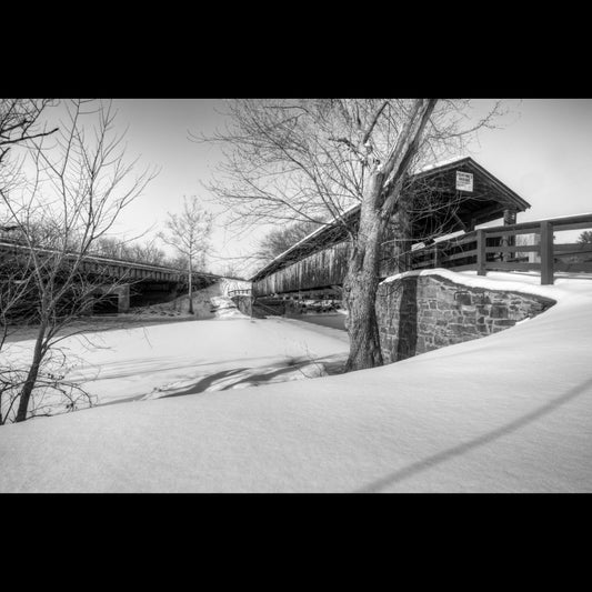 Perrine's Bridge Winter Black and White
