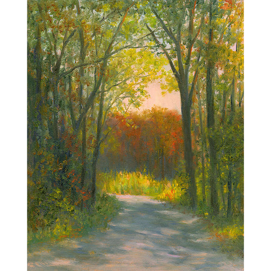 Dappled Light on a Country Road
