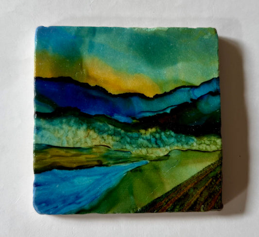 Marble 2025 Coaster of the Year!