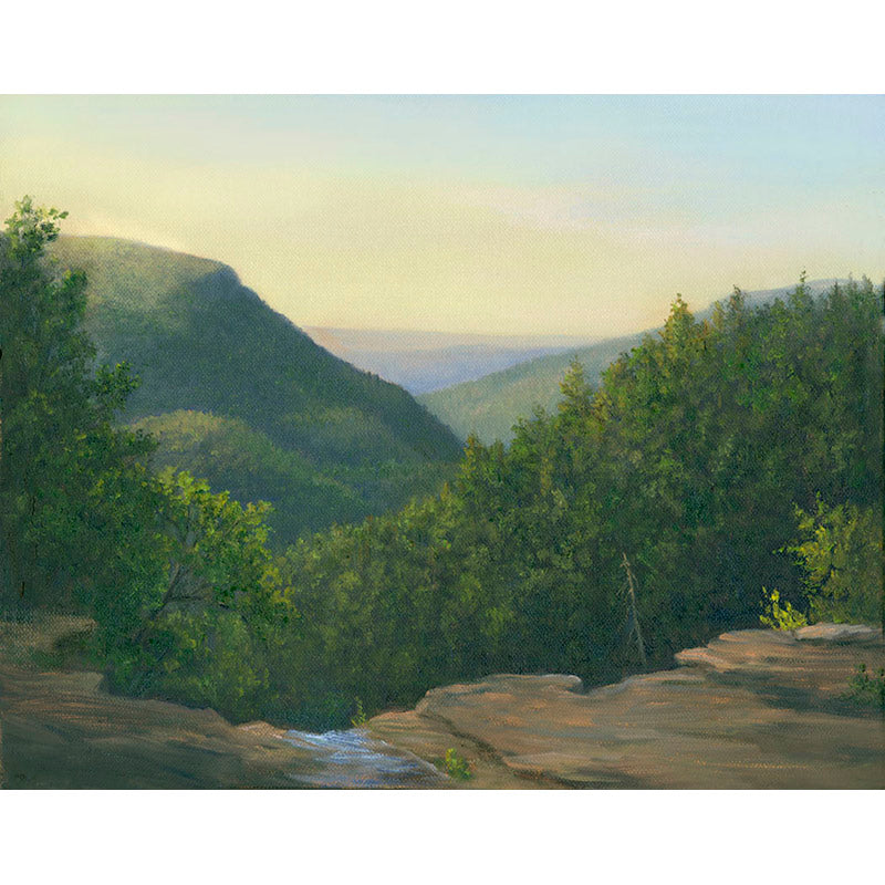 Overlooking Haines Falls, Catskills