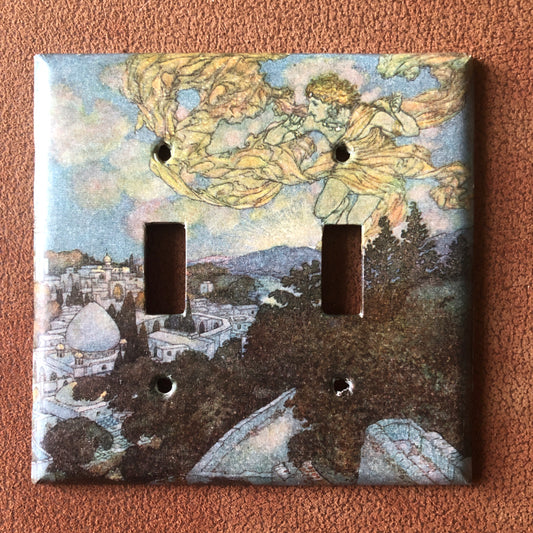 Switch Plate Cover DOUBLE Fantasy Dual