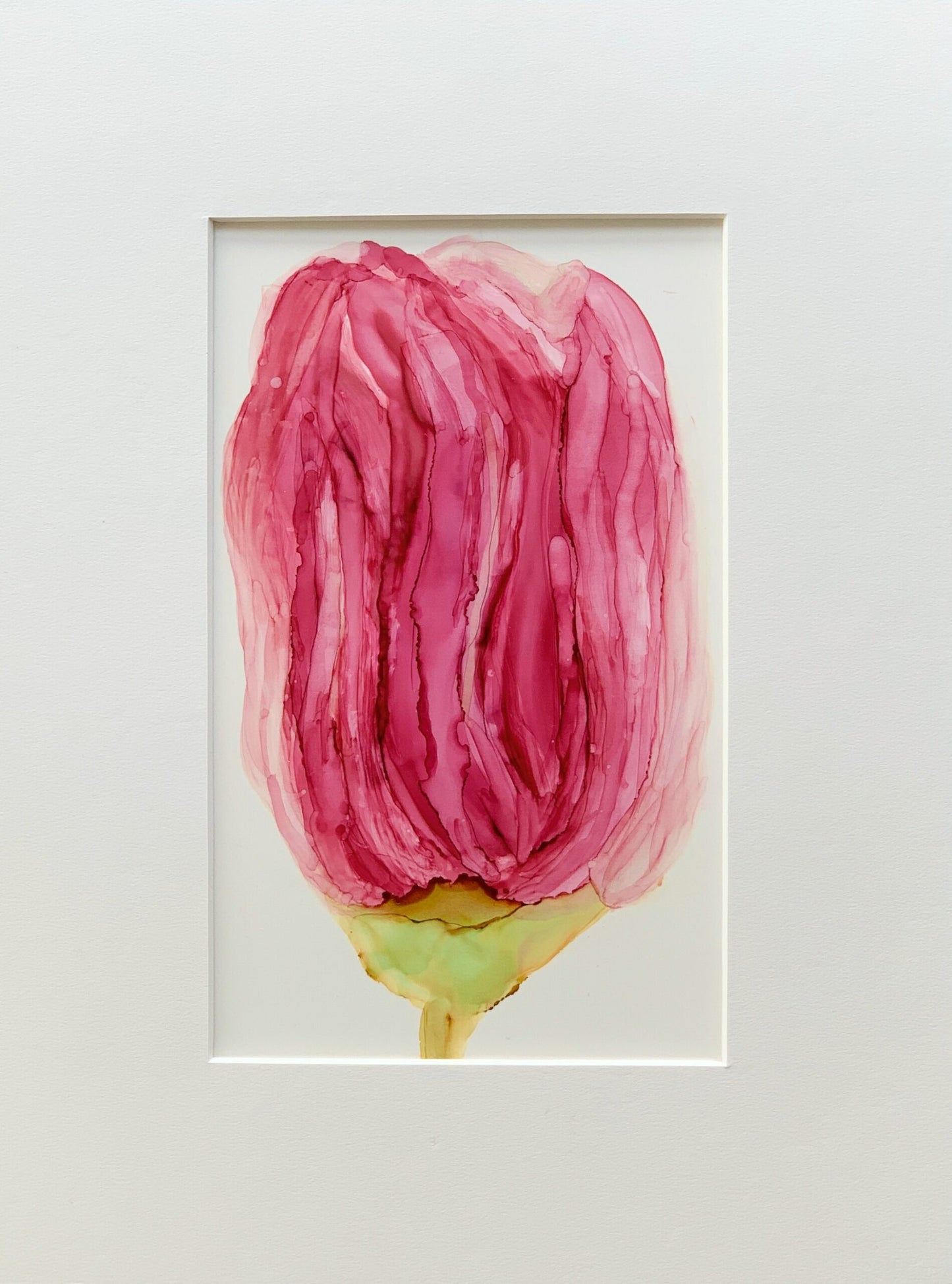 Tulip #1