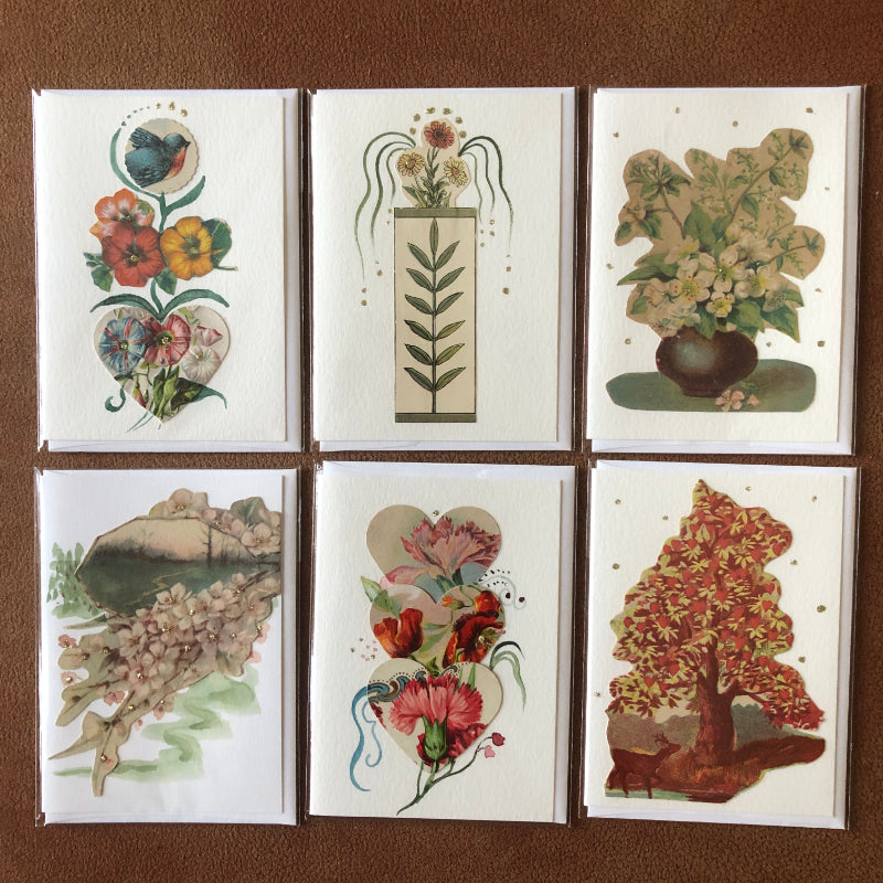 Greeting Cards: 6 Beautiful Floral/Nature Small Note Cards