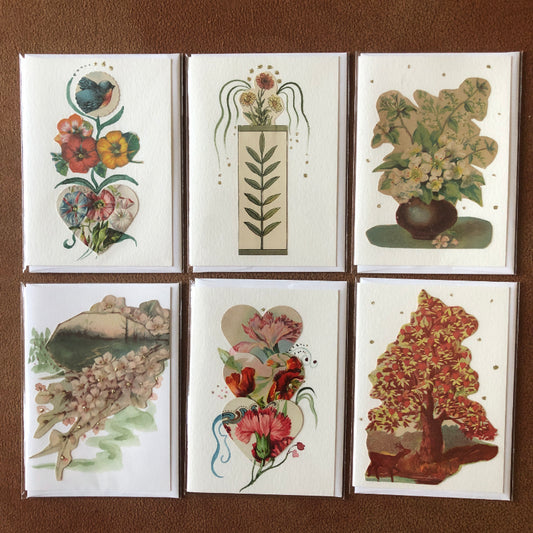 Greeting Cards: 6 Beautiful Floral/Nature Small Note Cards