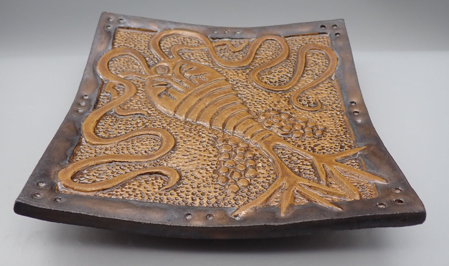 Hudson River Cocoapoda Plankton