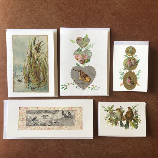 Greeting Cards: 5 Assorted Sized Bird Themed All Occasion
