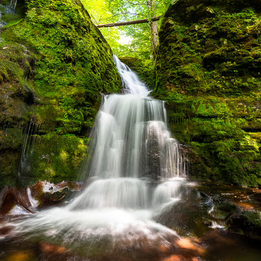 Waterfall on Trout Creek