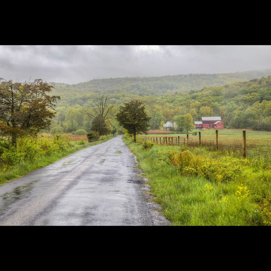Pine Road, New Paltz
