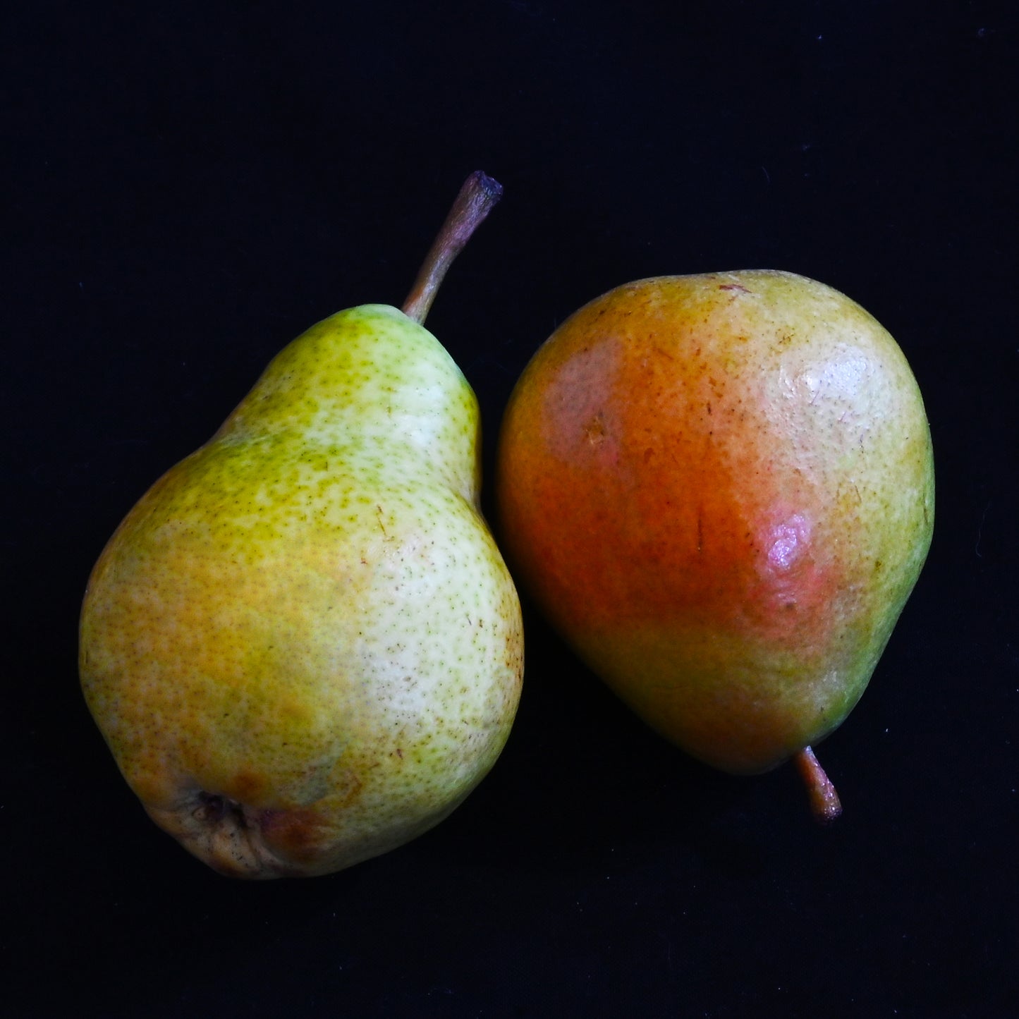 A pair of pears
