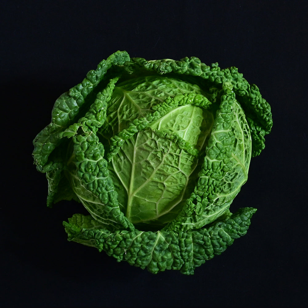 Cabbage