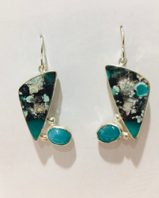 Opalized Petrified Wood Earrings