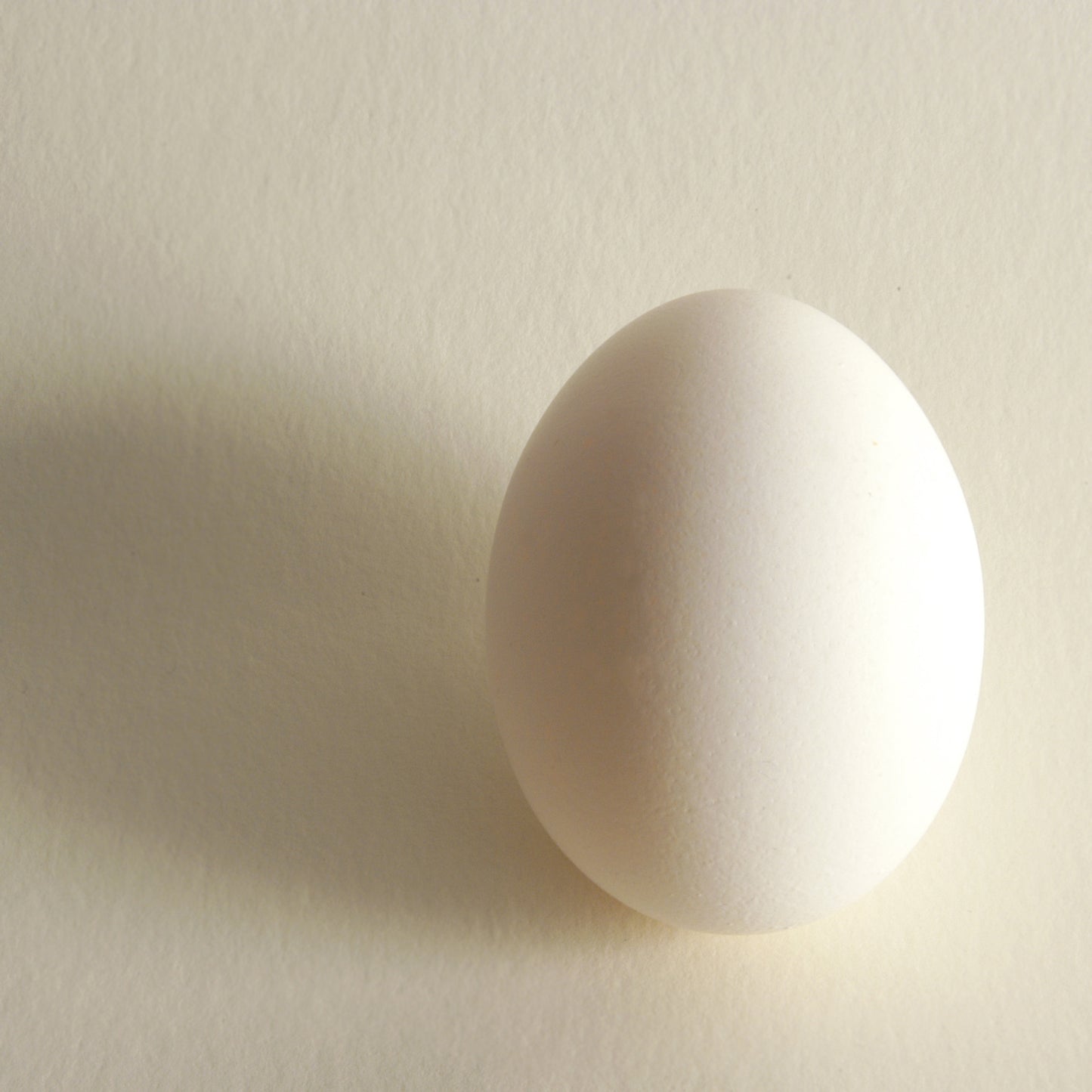 Egg