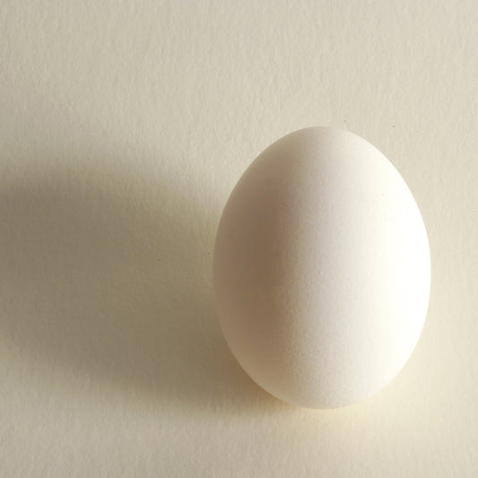 Egg